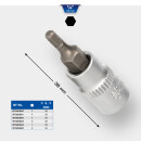 1/4" Innensechskant Bit-Stecknuss, 8 mm - Brilliant...