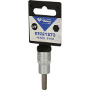 3/8" Innensechskant Bit-Stecknuss, 6 mm - Brilliant Tools BT021873