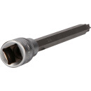 1/2" Torx-Bit-Stecknuss, 200 mm lang, T50 - Brilliant Tools BT022712