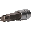 1/2" RIBE-Bit-Stecknuss, 100 mm lang, M13 -...