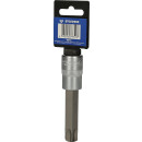 1/2" Torx-Bit-Stecknuss, 100 mm lang, T70 - Brilliant Tools BT022989