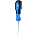Schraubendreher TORX, T10 x 80 mm - Brilliant Tools BT031011