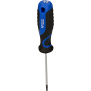 Schraubendreher TORX, T8 - Brilliant Tools BT034903