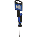 Schraubendreher TORX, T8 - Brilliant Tools BT034903