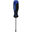 Schraubendreher TORX, T25 - Brilliant Tools BT034908