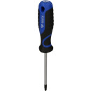 Schraubendreher TORX, T27 - Brilliant Tools BT034909