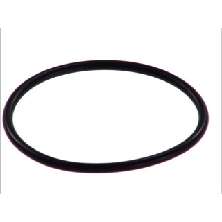 Dichtring - LEMA LE107110 - 107110