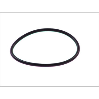 Dichtring - LEMA LE105200 - 105200