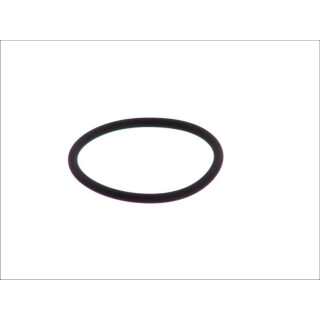 Dichtring - LEMA LE125105 - 125105