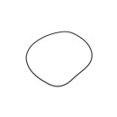 Dichtring - LEMA LE124970 - 124970