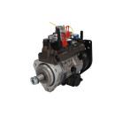 Einspritzpumpe - DELPHI 9520A190G