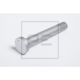 Federbolzen Rep.-Satz 30/52/M30 x 202 passend für BPW