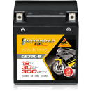 Panther Motorradbatterie 53036 mit GEL-Technologie...