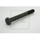 10x Schraube M 20 x 170/56 passend für SAF