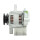 +Line Lichtmaschine für Yammar 40A F042302116